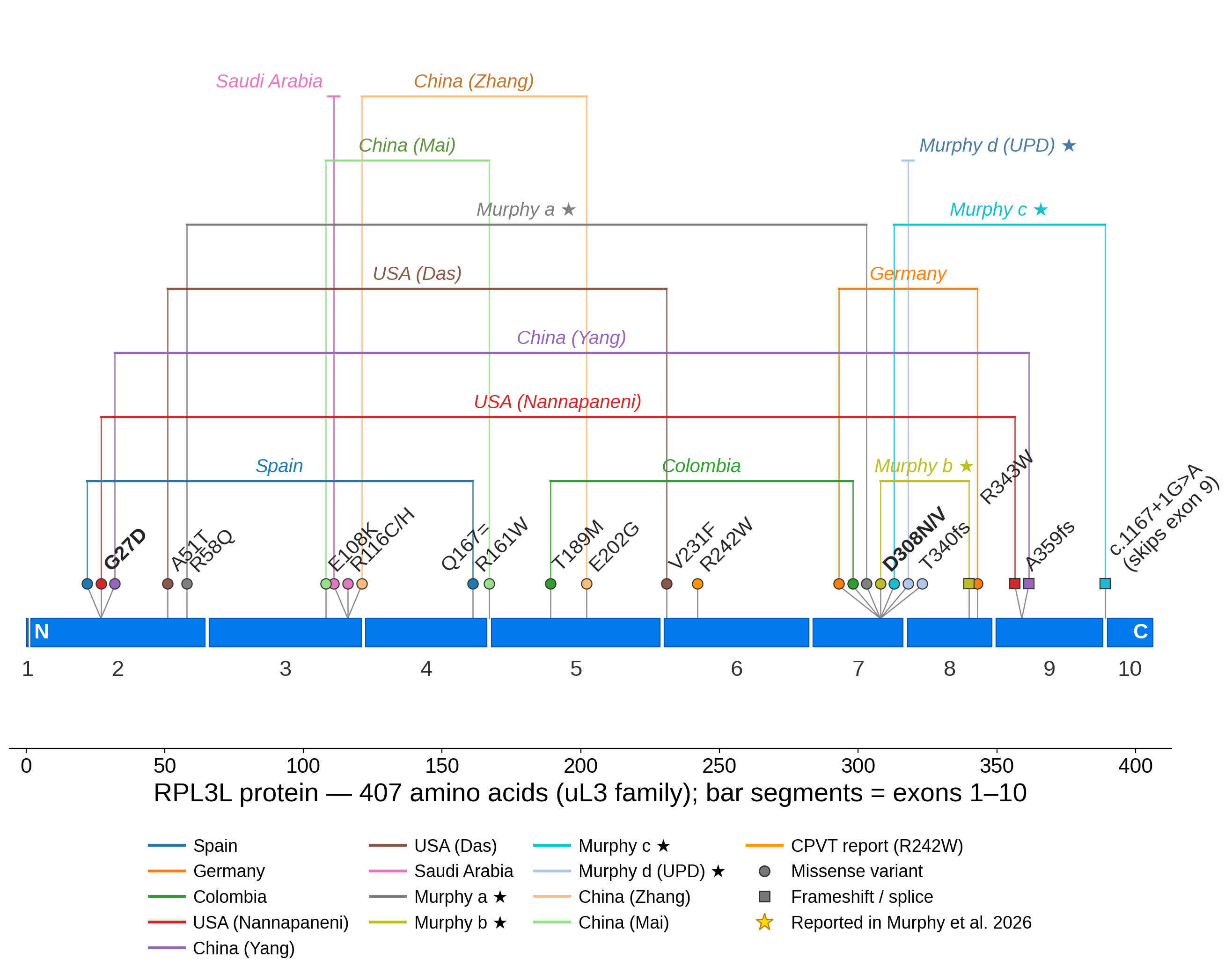 Protein model of RPL3L showing the positions of all reported pathogenic variants